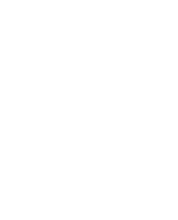 Nucleo Labs
