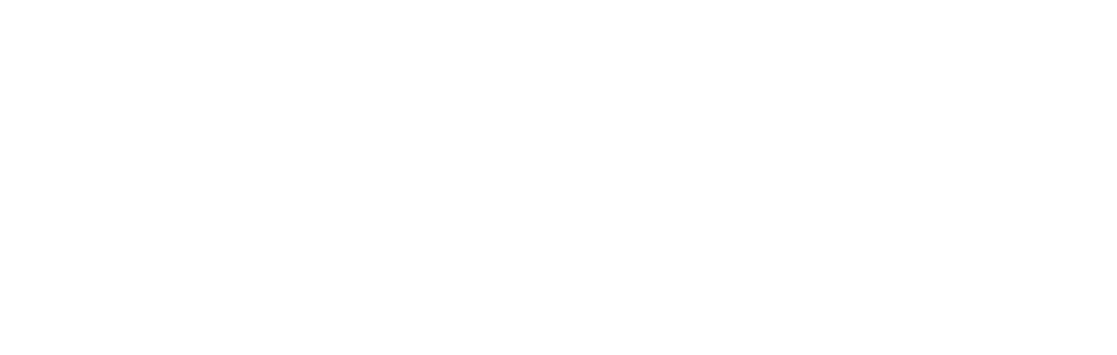 INNICIA UCSM